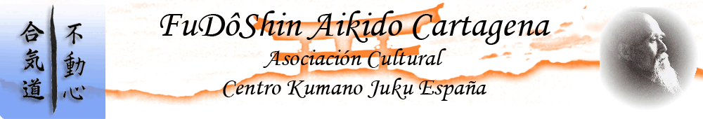 FudoShin aikido Cartagena